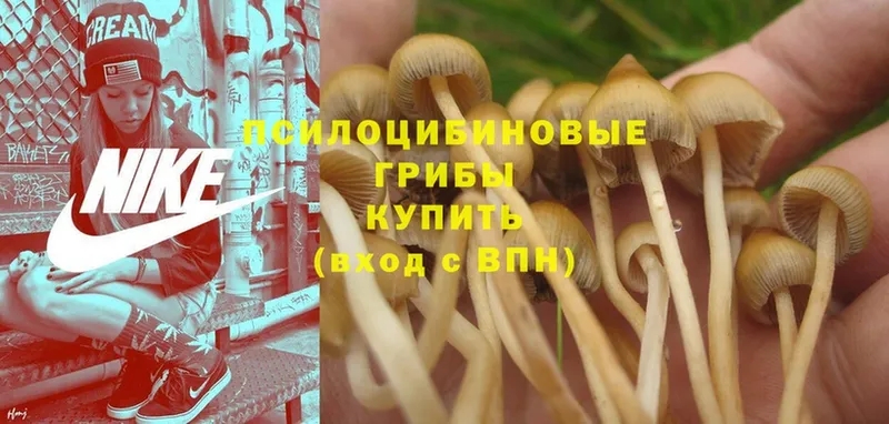 Псилоцибиновые грибы Magic Shrooms  Верхнеуральск 